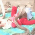 新时代APP的多元化功能与用户需求的变化 3qu54dl