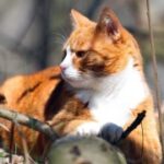 绿色娱乐:新时代下可持续发展的娱乐方式 5ms7rk