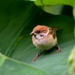 新时代艺术创作:文化多样性与全球视野的融合 76q2k7hj1