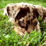 新时代娱乐:如何利用科技提升用户体验 dcyd0