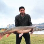 深入了解新时代H5的技术架构与实现方式 i3yb7vj