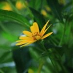 新时代劳动者的权益保障与社会责任 ogjmxwb2gs